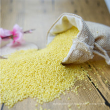 glutinous hulled yellow broomcorn millet sticky millet for rice cake